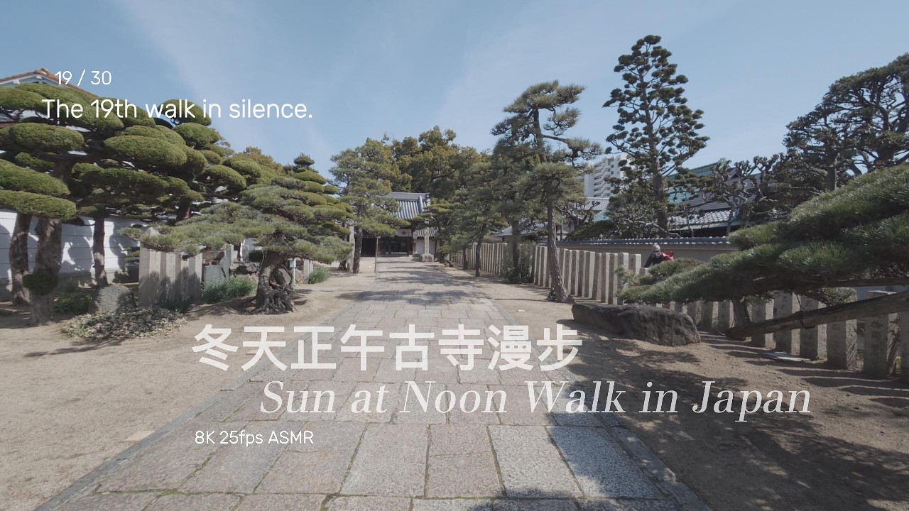 Day 19: The Winter Sun at Noon | Facing the Reality