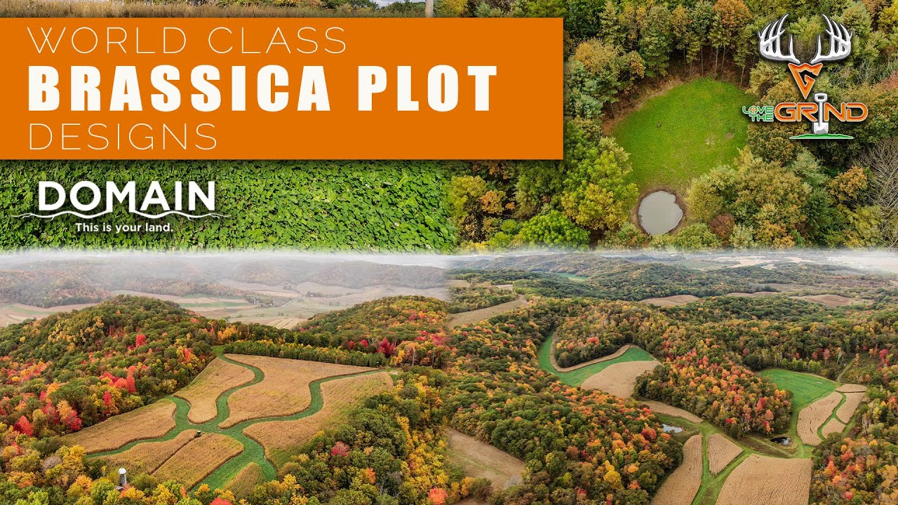 Проектирование участков с использованием капусты мирового класса с Domain Outdoor