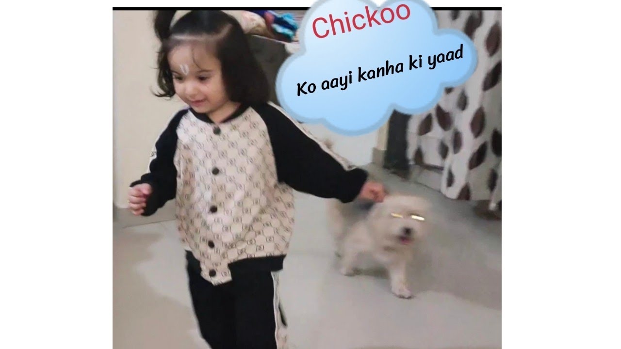 Chickoo ko aayi apne favorite Little  kanha Hazel ki yaad |hazel gaur|  @Sumedhvmudgalkar