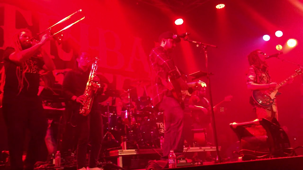 Empress (Live)HQ-Tribal Seeds
