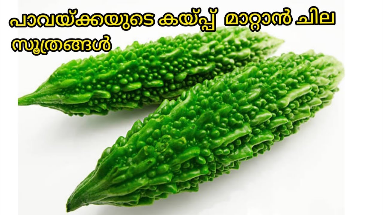 പാവക്കയുടെ കയ്പ്പ് മാറ്റാൻ ചില സൂത്രങ്ങൾ 👌/ How to remove Bitterness from bittergourd/ Kitchen tips