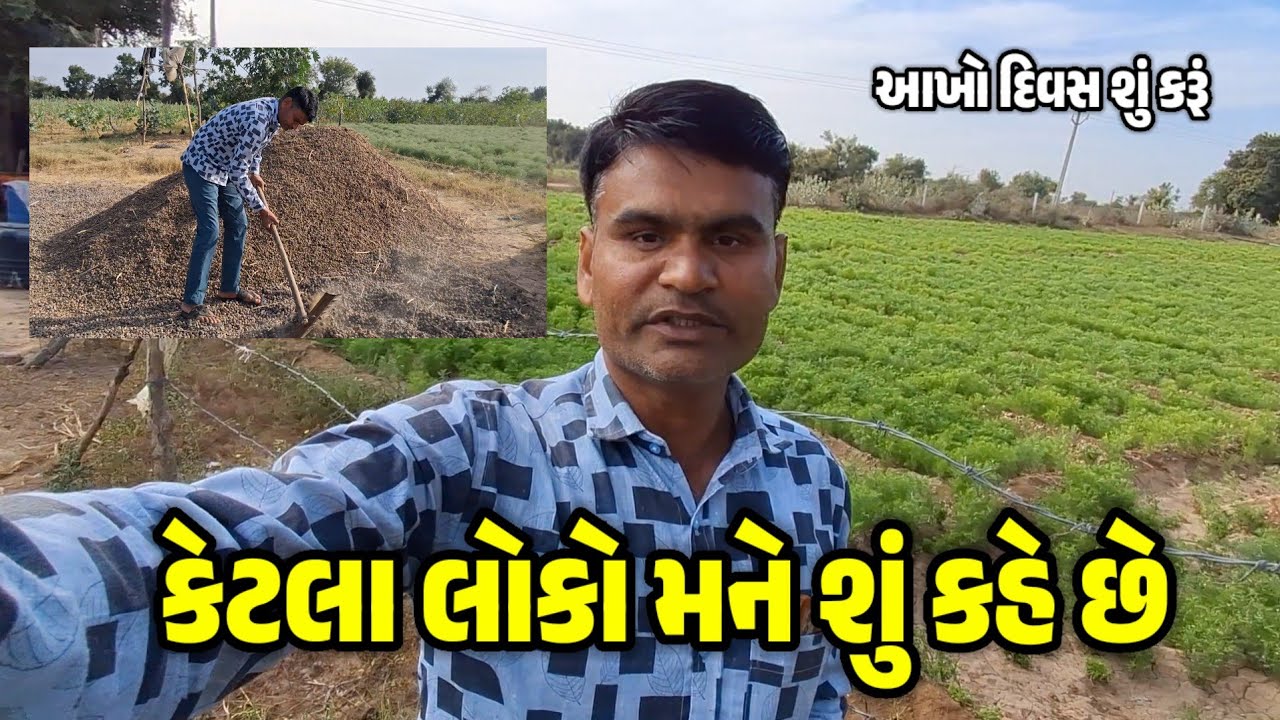 કેટલા લોકો મને શું કહે છે શ્રી રામ જેવા તો ના થઈ શકાય - આખો દિવસ શું કરું શ્રી રામ ને લક્ષણ જેવા ભાઈ