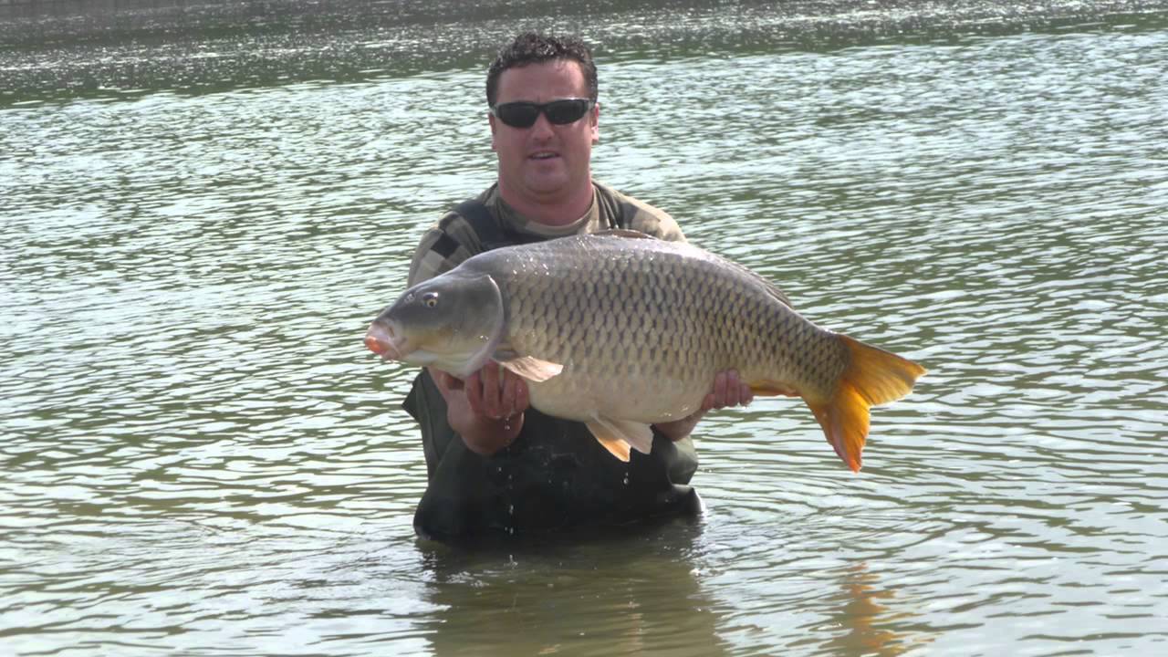 Pesca al Carpfishing & Siluro con il Big Games River Po
