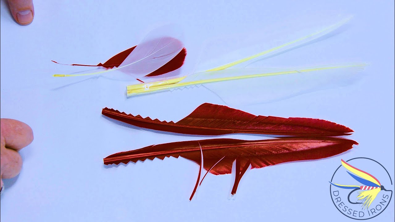 Fly Tying Extra - Matched & Married Goose Tails & Wings - Dressed Irons