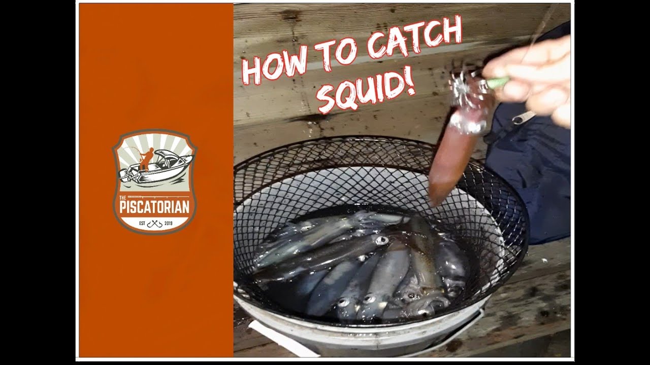 SQUID FISHING - How to catch squid - PUGET SOUND
