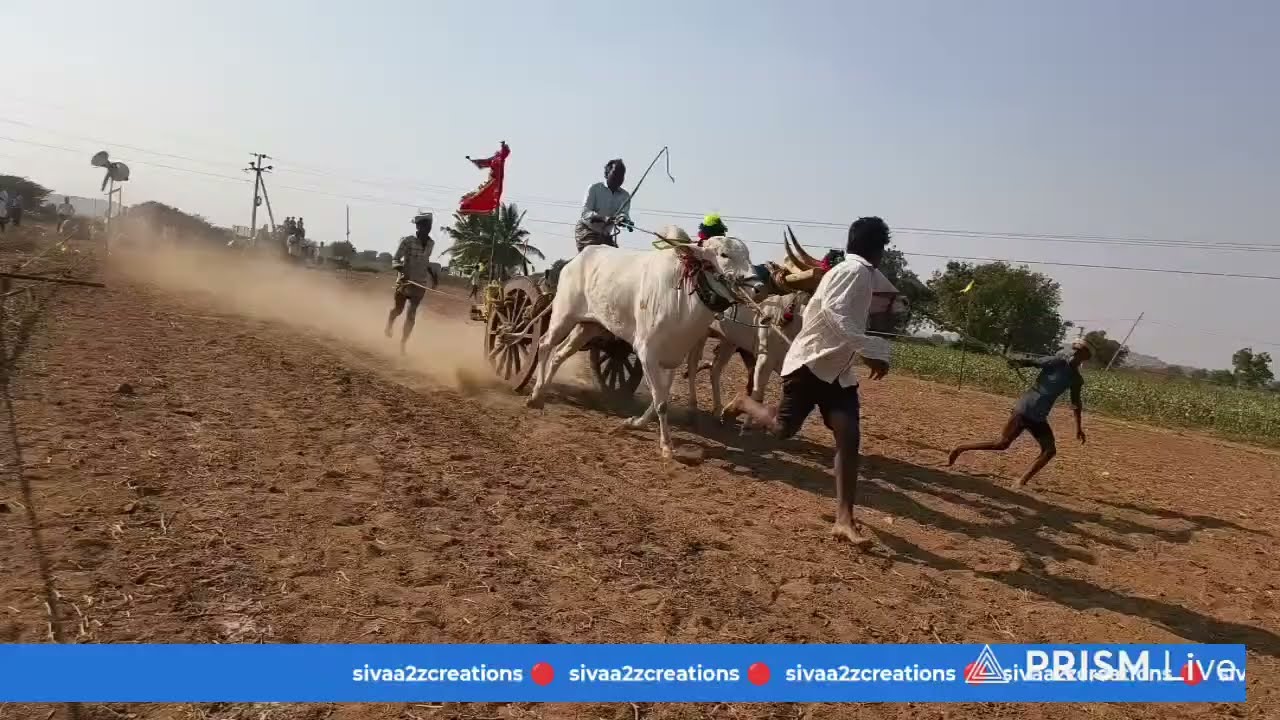 🔴 ఐనకల్ అంతర్ రాష్ట్ర గిరిక పోటీలు 2026//డ్రా లో 11 ఆకుల మంగయ్య Ak 41 Ak47