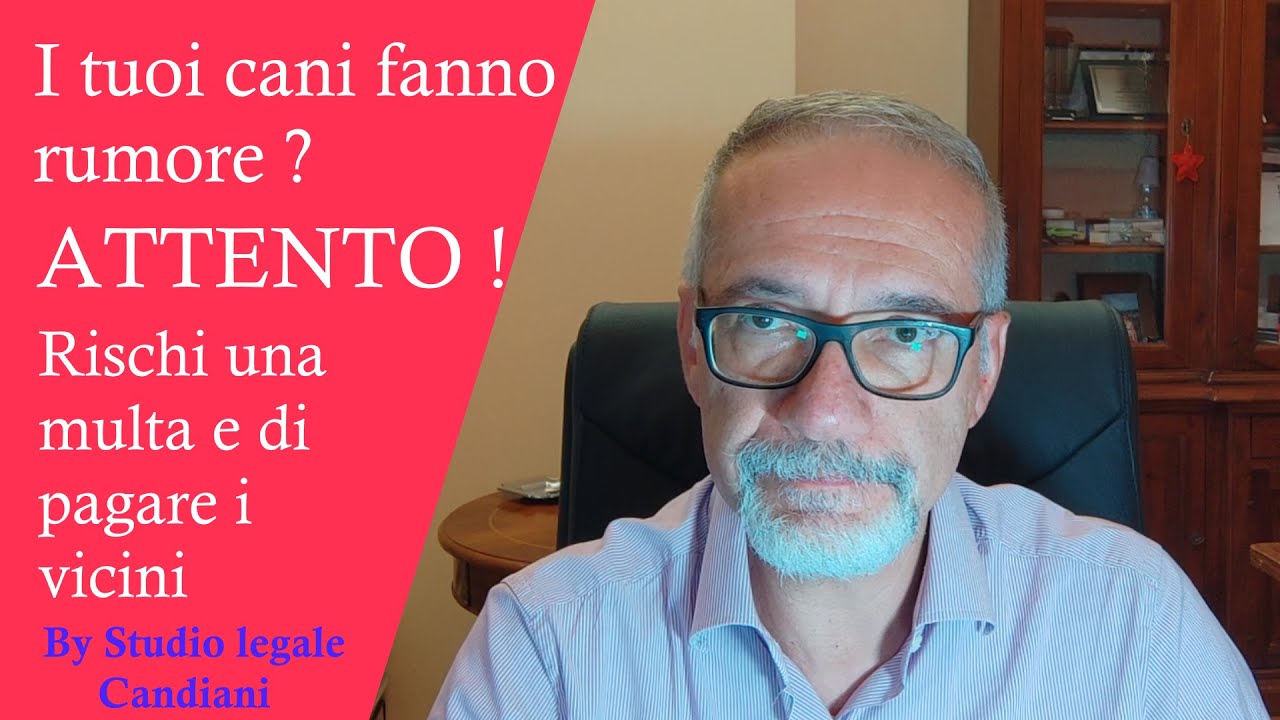 I tuoi cani abbaiano ? ATTENTO ! rischi una multa e di pagare i danni ai vicini
