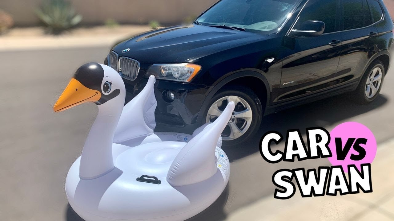 ASMR Crushing Crunchy and Soft Things with Car // CAR vs Swan Inflatable Pop!!!