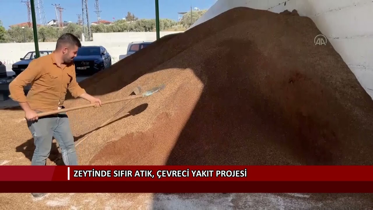 Zeytinde sıfır atık, çevreci yakıt projesi