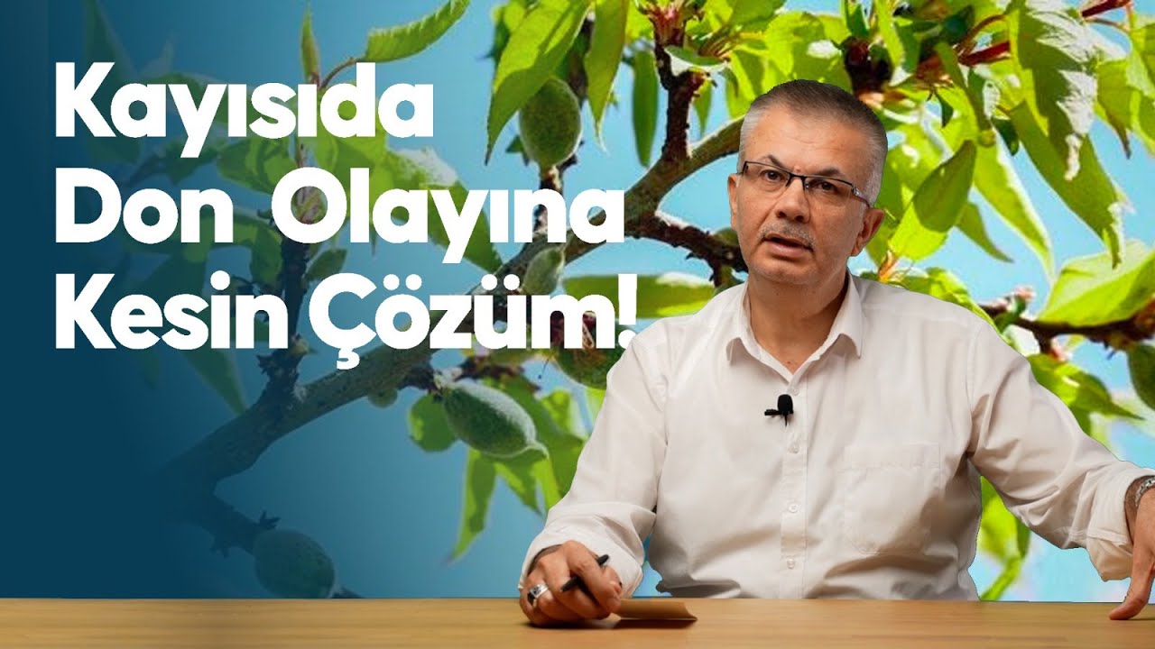 Prof. Dr. İbrahim GEZER - 