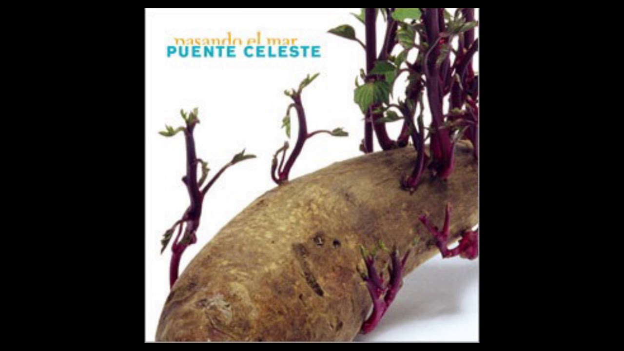 Puente celeste - Pasando el mar (full album)
