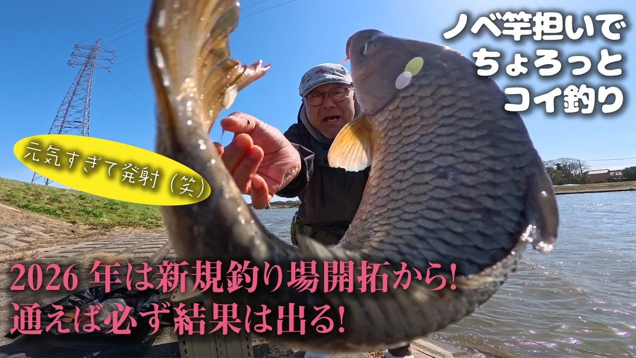 【のべ竿担いで】2026年は新規釣り場開拓から！　通えば必ず結果は出る！＠千葉県・手賀川水系【ちょろっとコイ釣り】