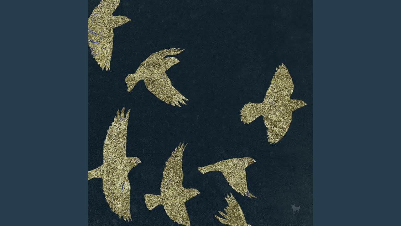 Bird of the Blizzard (Live at Birmingham Symphony Hall)