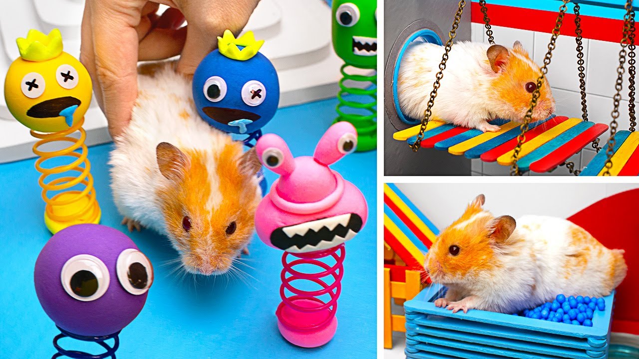 🐹 आइए सबसे क्रिएटिव रेनबो फ्रेंड्स हैम्स्टर मेज़ एस्केप बनाएं!