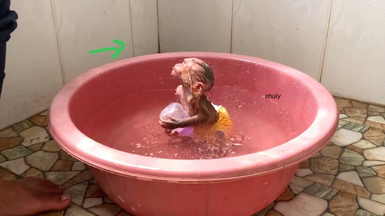 The First Raininq Of Hot Season In Zhuly Morning Bath
