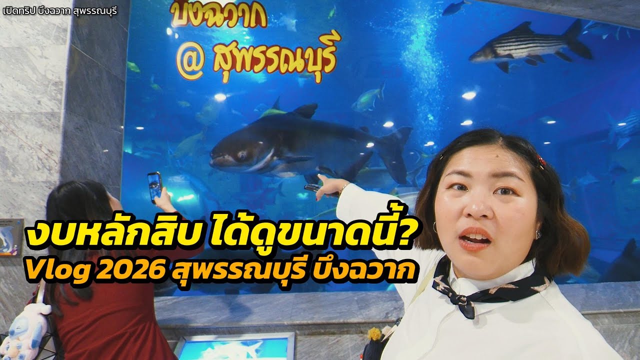 บึงฉวากอควาเรียม 2026 Vlog สนุกกับอุโมงค์ปลาน้ำจืดแห่งแรก! ดูจระเข้สุพรรณบุรี