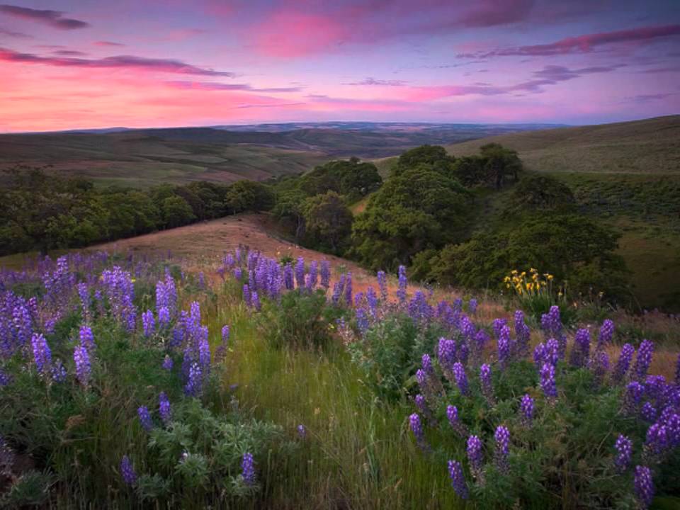 Hayley Westenra - Let me lie