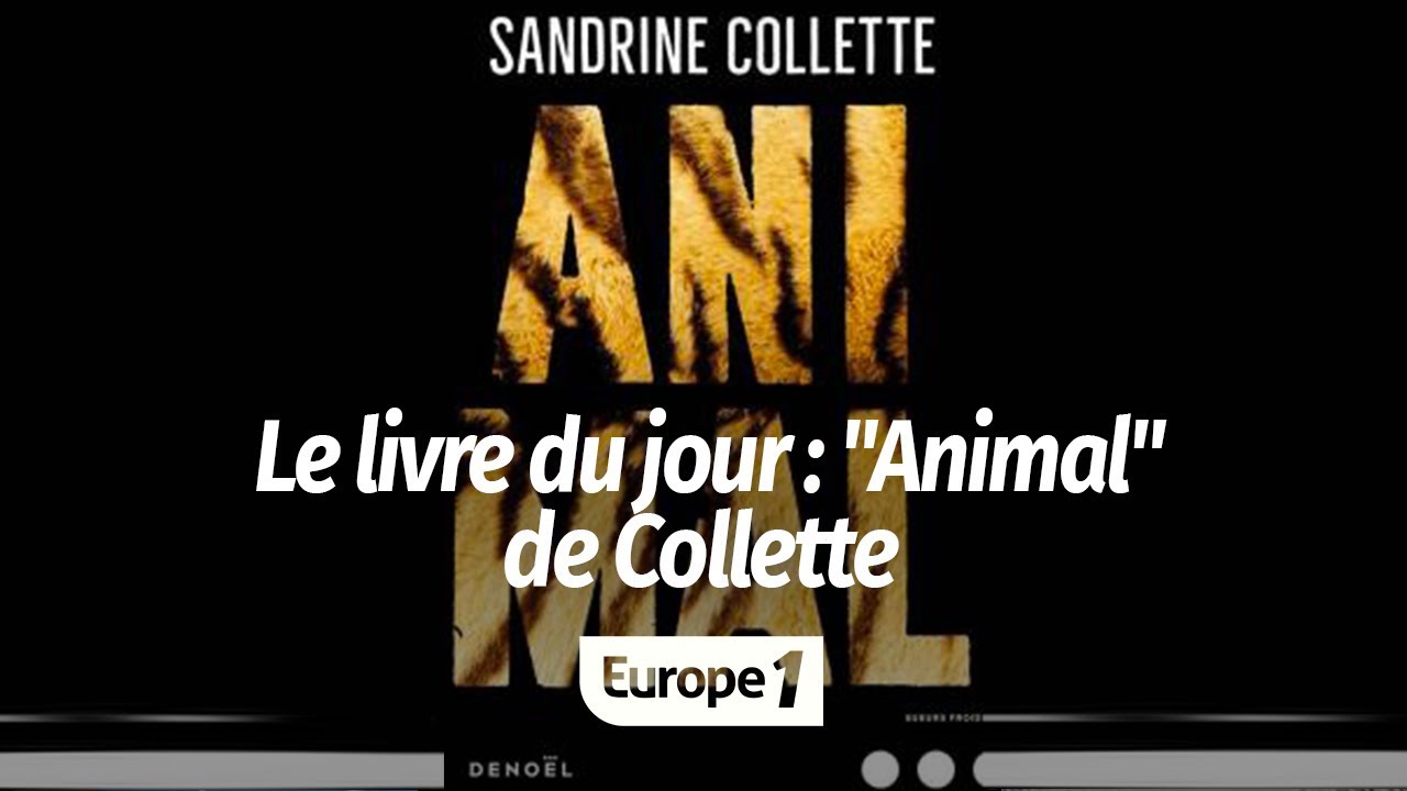 LIVRE DU JOUR : "ANIMAL" DE SANDRINE COLLETTE