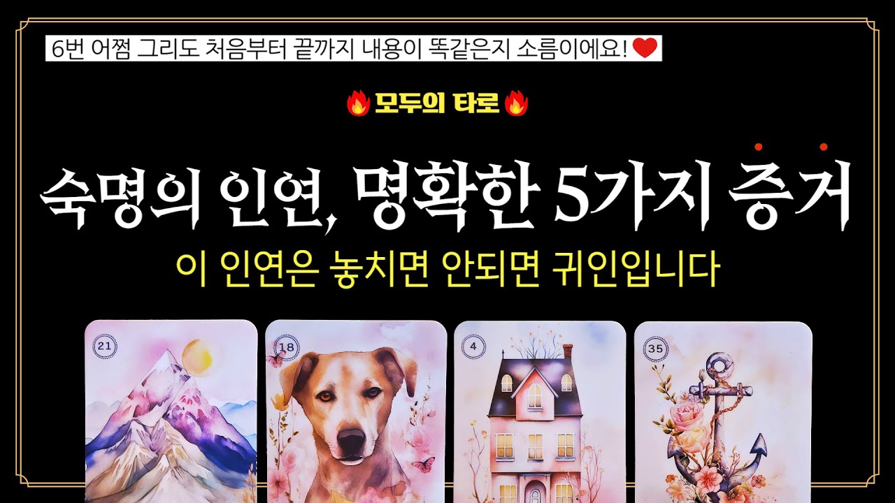 [타로] 숙명의 인연! 💜소름 돋는 5가지 명확한 증거!