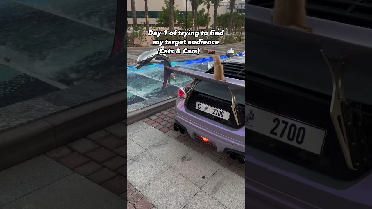 Bringing this series back as requested 💜🫶