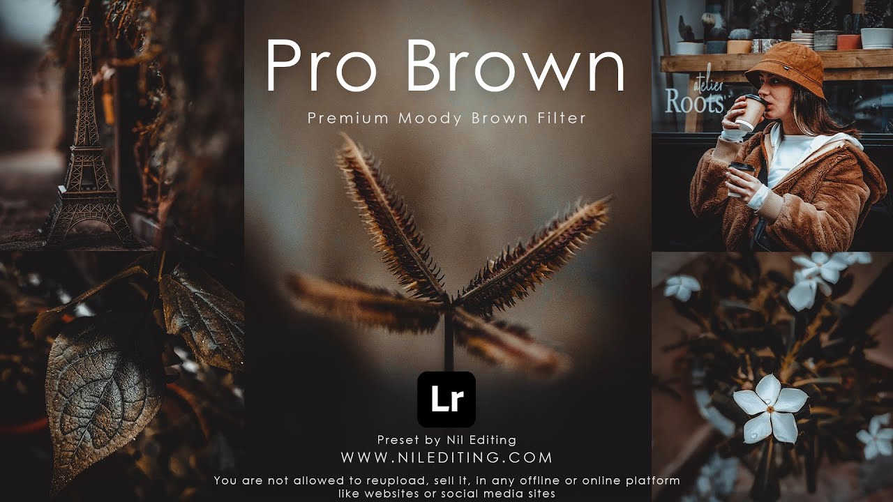 How to Edit Professional Photography | Lightroom Dark Brown Presets DNG & XMP Free Download