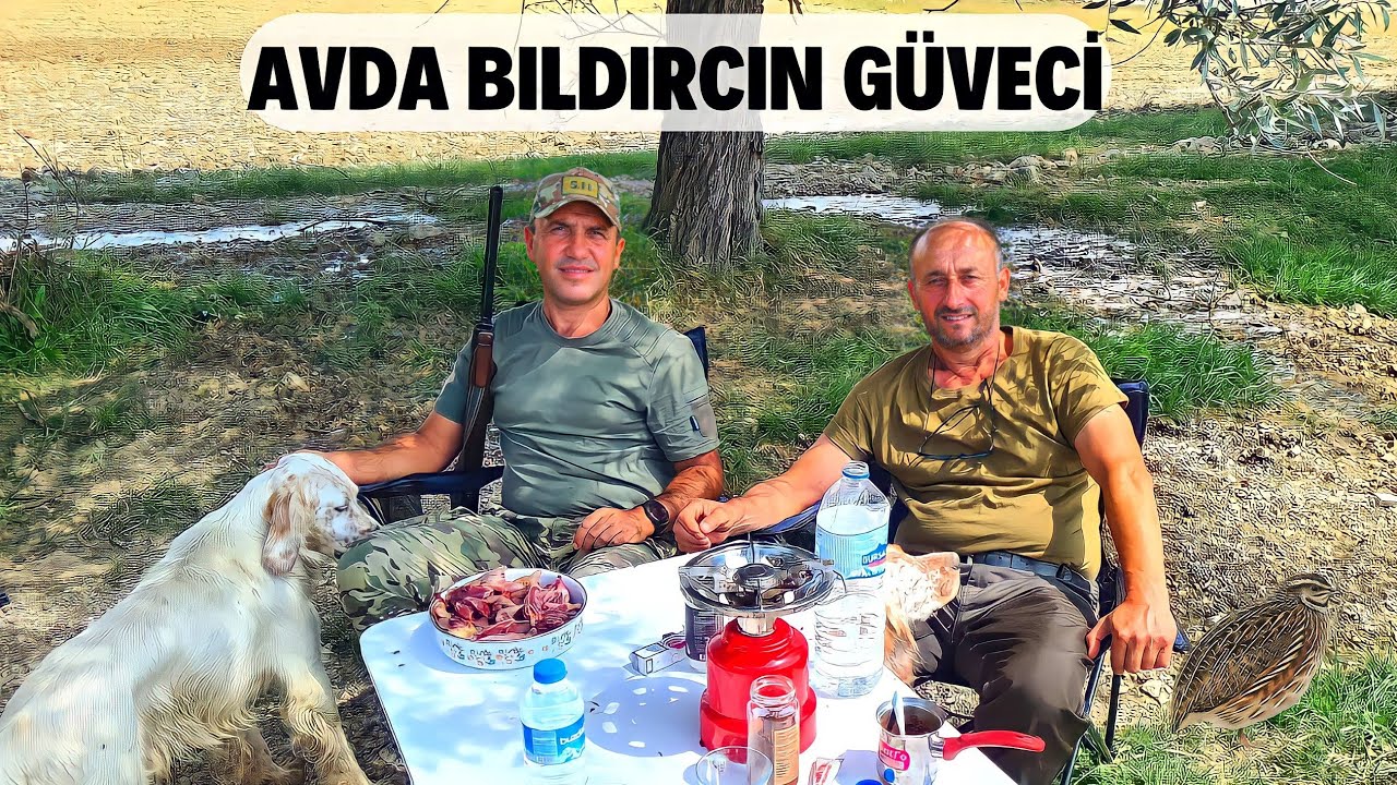 Bıldırcın Güveç - Bıldırcın Avı - Yeni Sezon Açılışı - Av Kampı