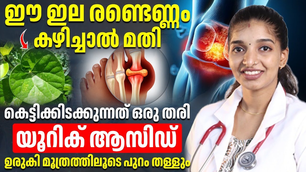 ഈ ഇല രണ്ടെണ്ണം കഴിച്ചാൽ മതി നിങ്ങളുടെ ശരീരത്തിലെ യൂറിക് ആസിഡ് മുഴുവൻ മൂത്രത്തിലൂടെ പുറം തള്ളും
