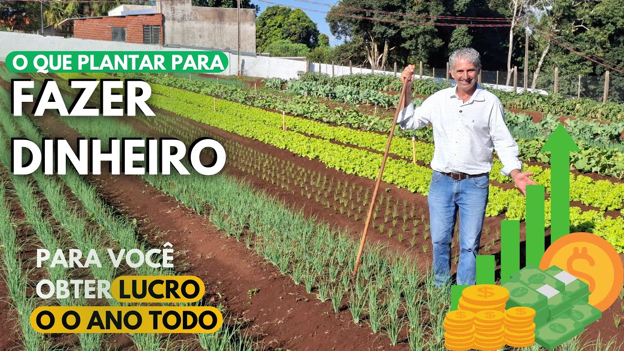QUAL CULTURA DA MAIS DINHEIRO NA HORTA!