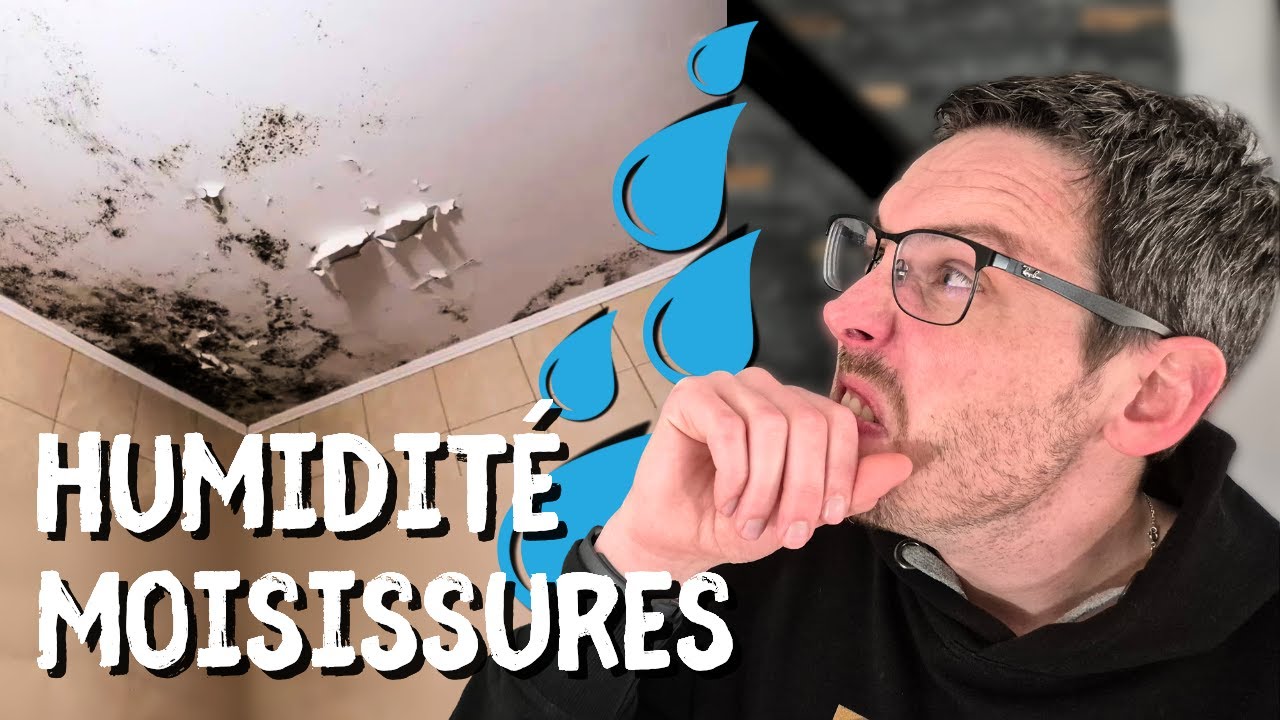 Moisissures et Condensation | Les Vraies Solutions (Pas les Astuces de Grand-mère)