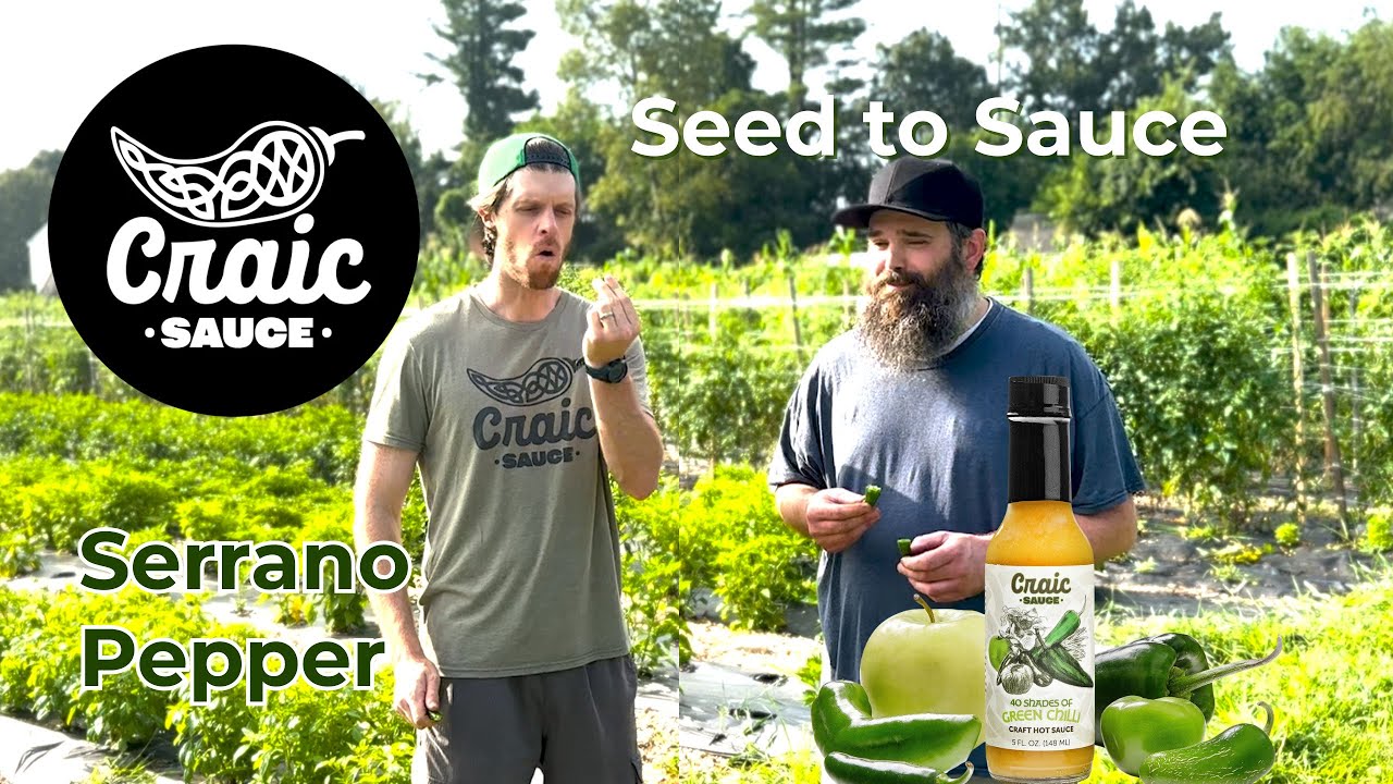 Seed to Sauce Series - Serrano Pepper
