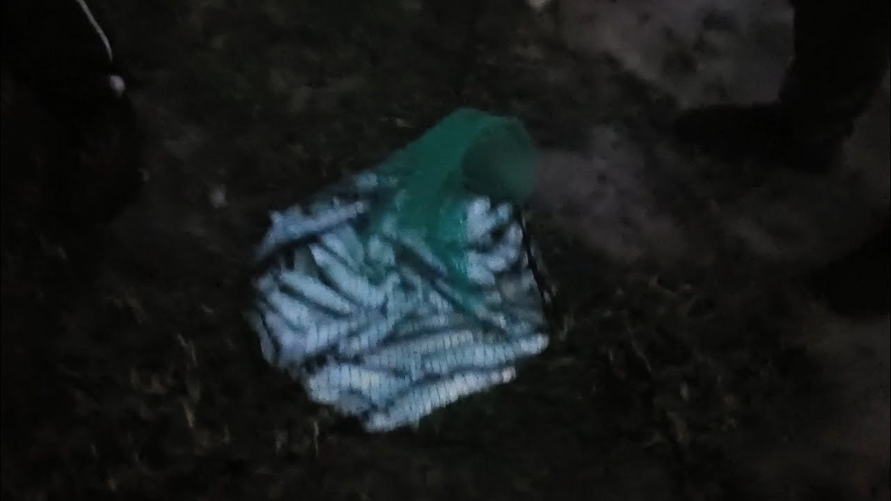 Pescuit la scrumbie. Prins scrumbie frumoasă cu Marius Negrea.