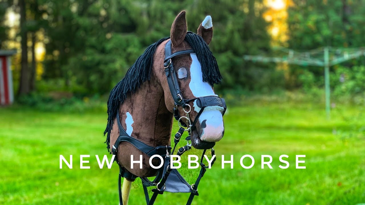 Mein neues Finnisches Hobbyhorse auspacken!😱🤯+Navajo 1 mal reiten🐎