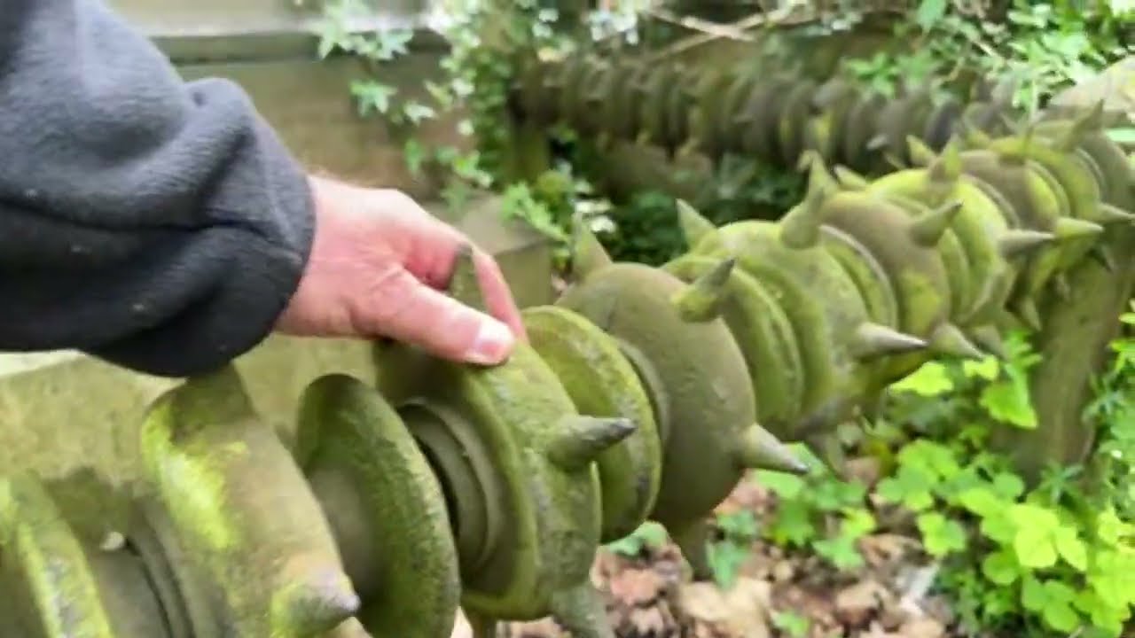 LIVE from London - Abney Park Cemetery - One of London's “Mag 7”. (Live 114)