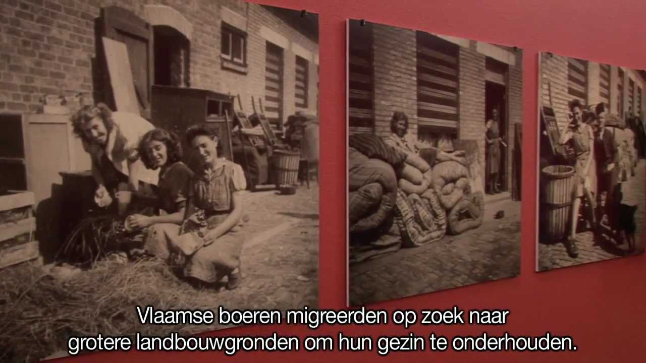 Vlaamse migranten in Wallonië, 1850-2000