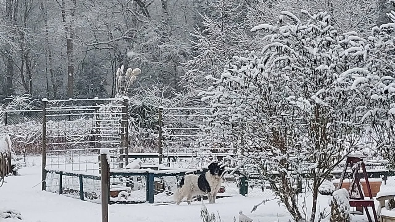 Zand en sneeuwpret, baby-nieuws en het tuinteam op tekening 
