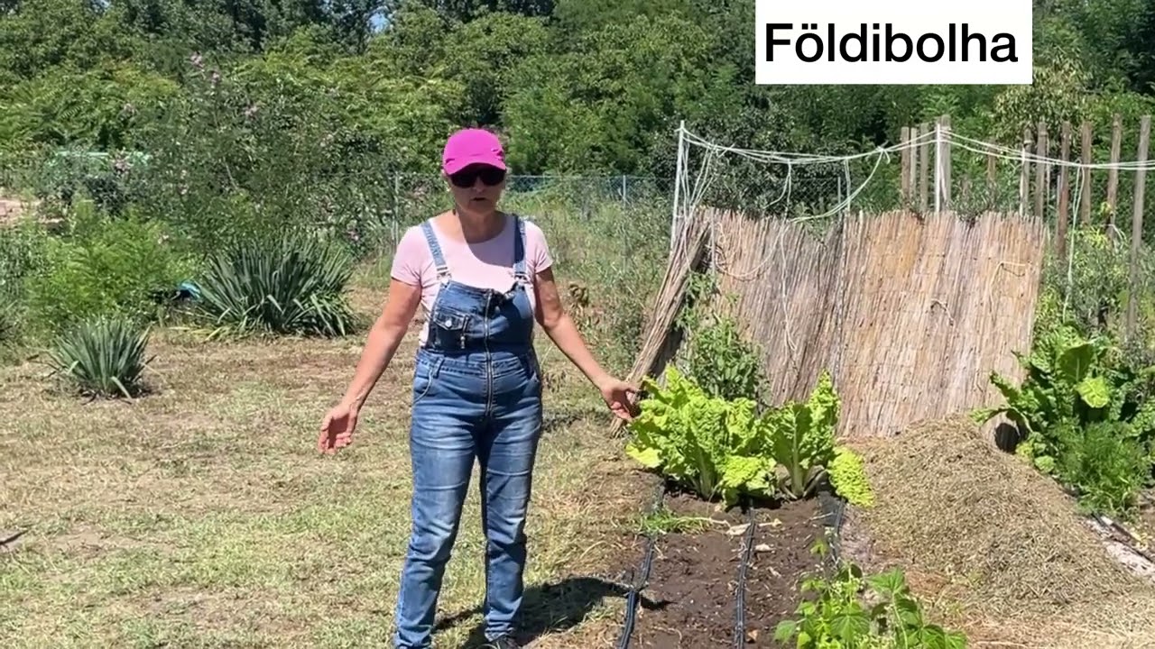 Földibolha invázió