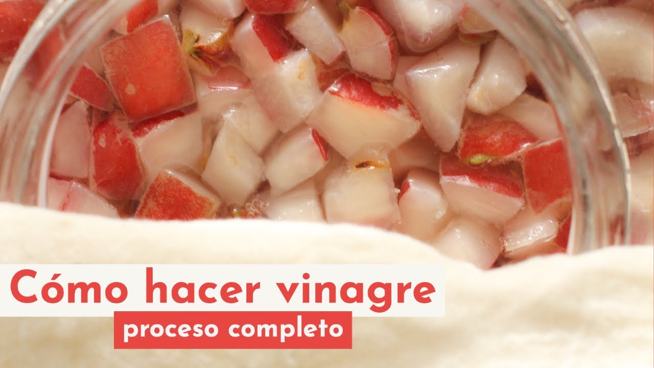 Cómo hacer vinagre - Proceso completo