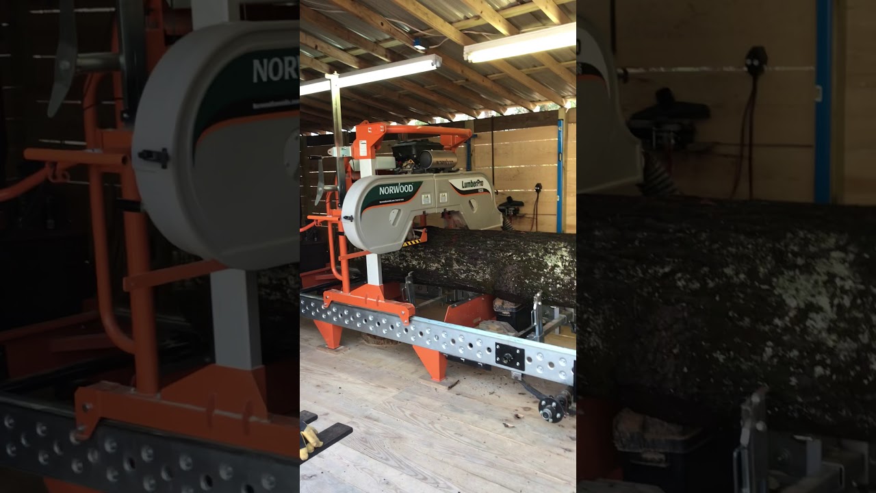 MSD Making Saw Dust On the Norwood hd36 