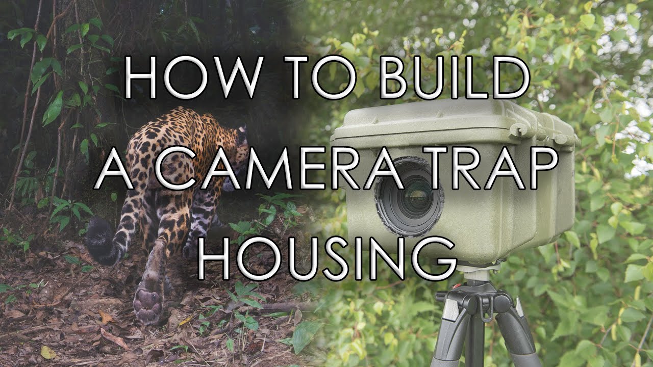 How to Make a DSLR Camera Trap Housing