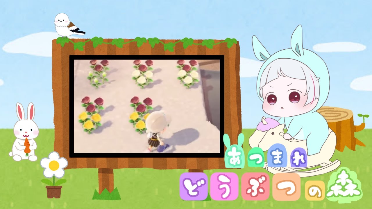 【あつ森】初見歓迎！「あつまれどうぶつの森」青バラチャレンジ！！アドバイス求む！【#あつ森 /#あつまれどうぶつの森  /Vtuber/ゲーム実況  】