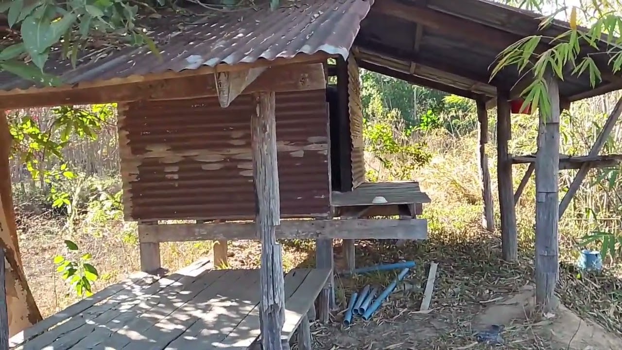 เอาบรรยากาศความแห้งแล้งให้พี่น้องเบิ่ง27 มกราคมพ.ศ 69