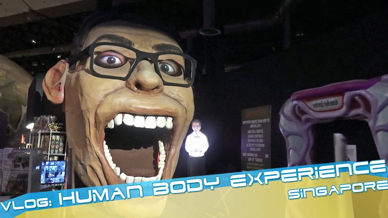 Human Body Experience at the Singapore Science Center, Video Review