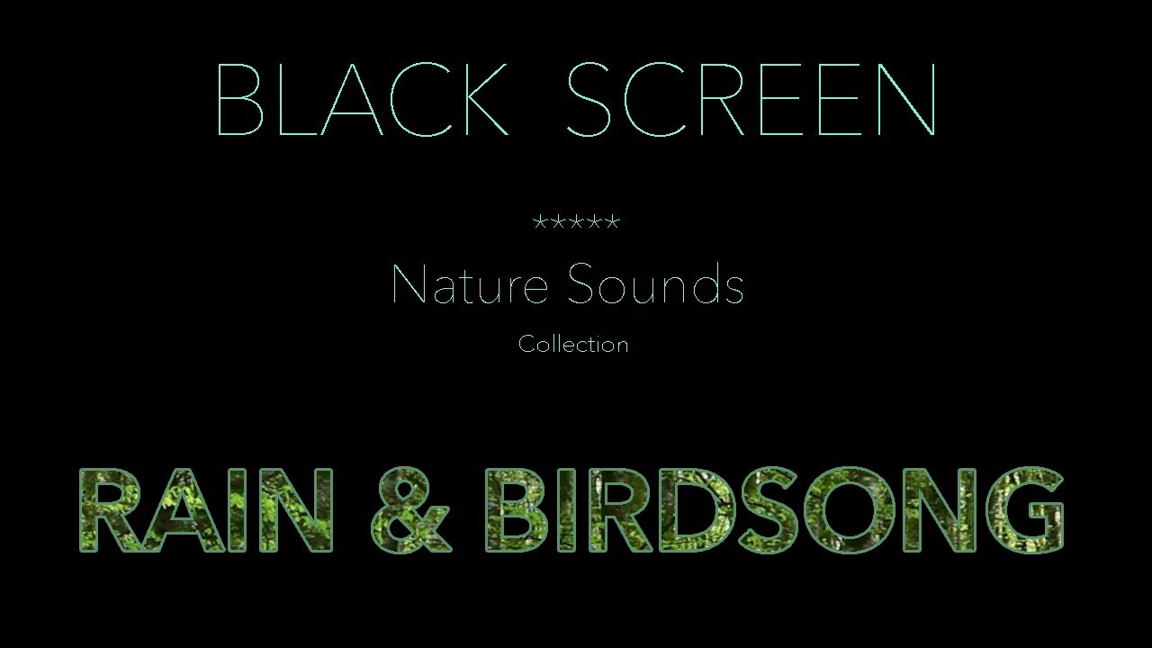 Nature Sounds-Rain & Forest Birdsong Dark/Black Screen-Relaxing Calm Sleeping Sound-Johnnie Lawson