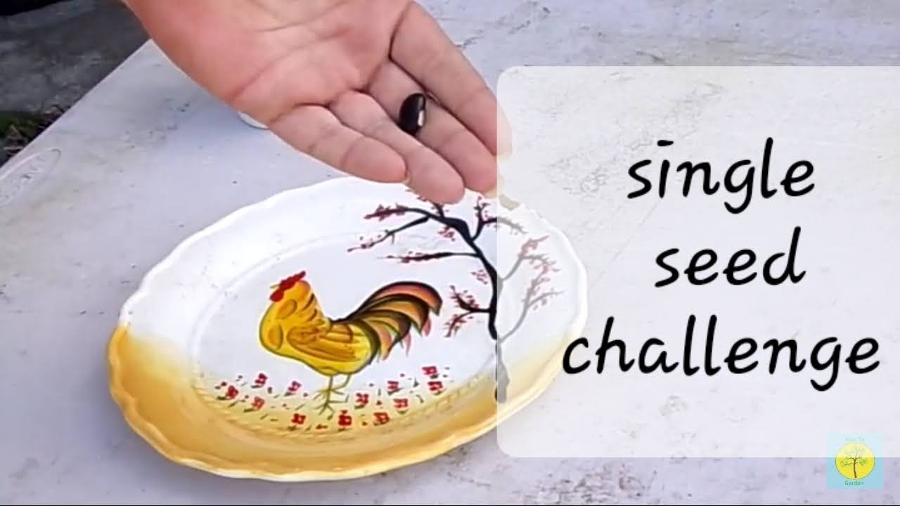 single seed challenge 2022