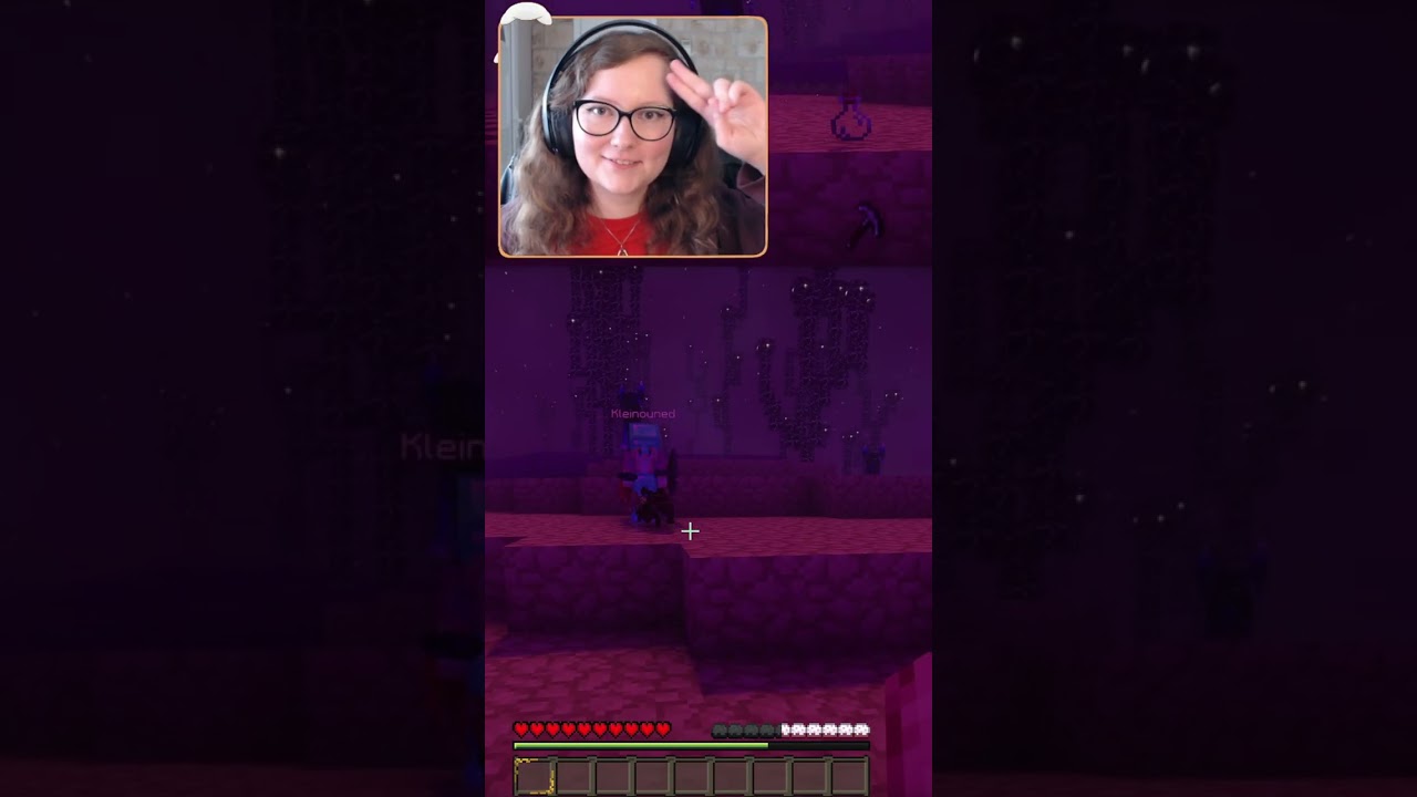 Minecraft - The Boys (feat. @Kleinouned)