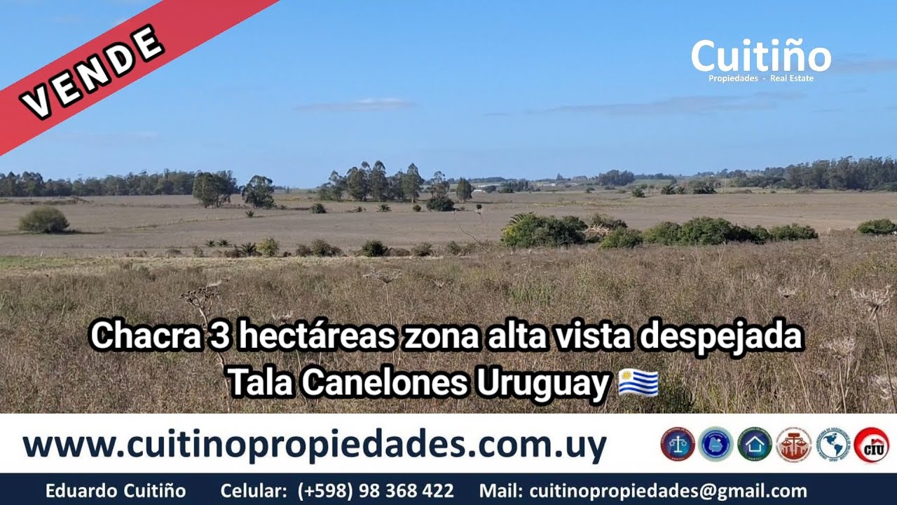 Hermosa chacra de 3 hectáreas zona alta con vista despejada en Tala Canelones Uruguay 