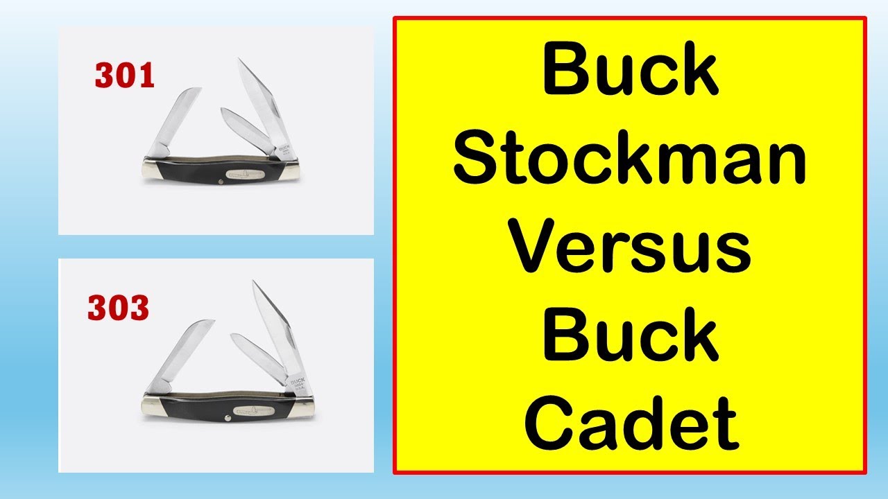Ножевое противостояние Buck 301 Stockman против Buck 303 Cadet! (2024) @terrysknivesandmanstuff