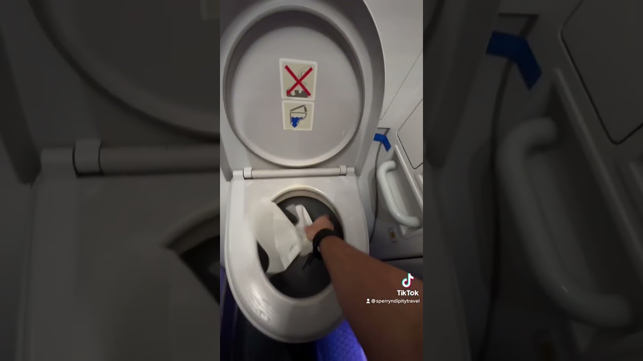Most Efficient way to poop in a Plane... #travelhacks #flightattendant