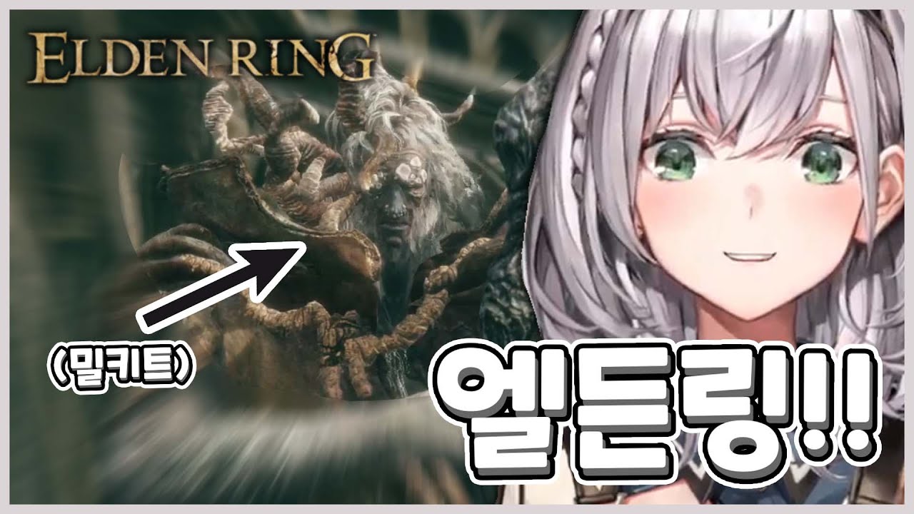 엘든링 뉴비 단쵸의 밀키트 체험기