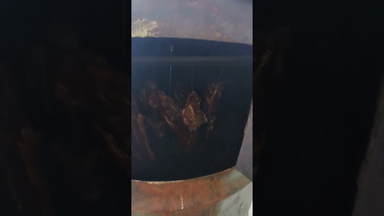 defumador feito de tambor de 200 litros, defumando pernil de porco e setinho de boi